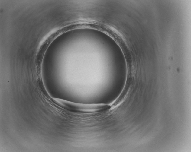 X0000073901310200608111120