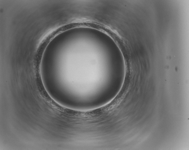 X0000073901311200608111120