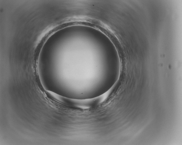 X0000073901312200608111120