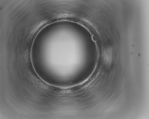 X0000073901313200608111120