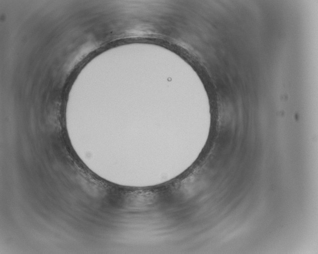 X0000073901314200608111120