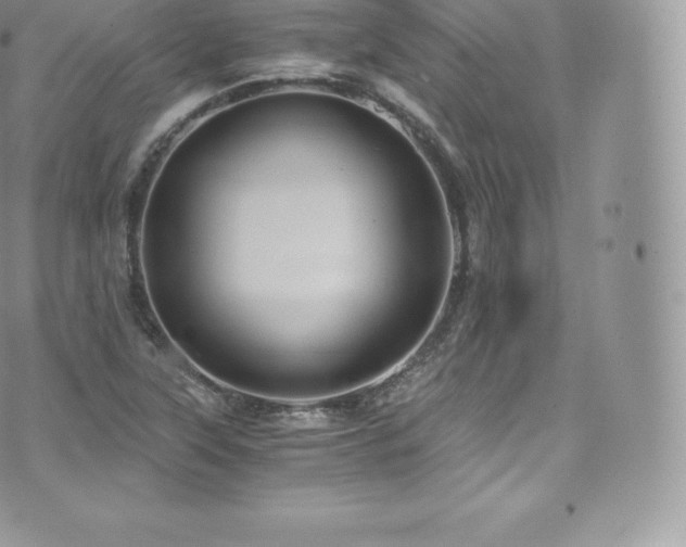 X0000073901315200608111120