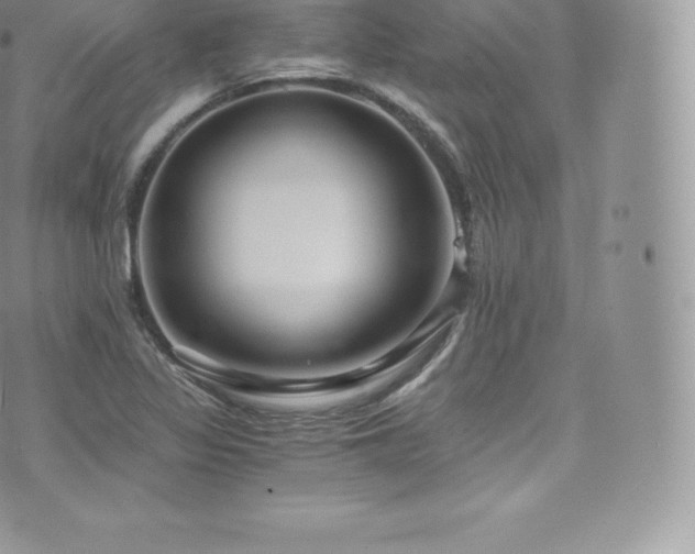 X0000073901317200608111120