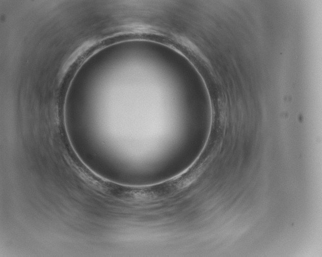 X0000073901318200608111120