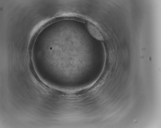 X0000073901319200608111120