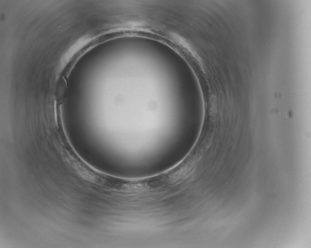 X0000073901320200608111120