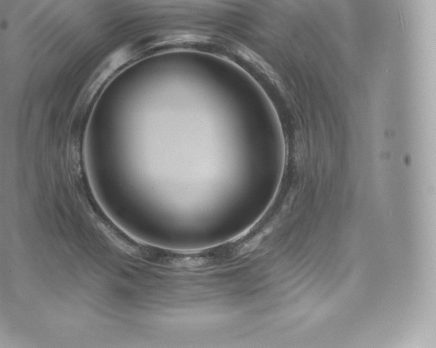 X0000073901321200608111120