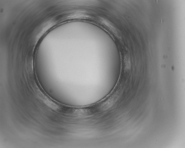 X0000073901322200608111120