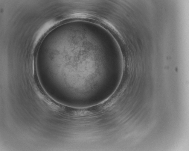 X0000073901323200608111120