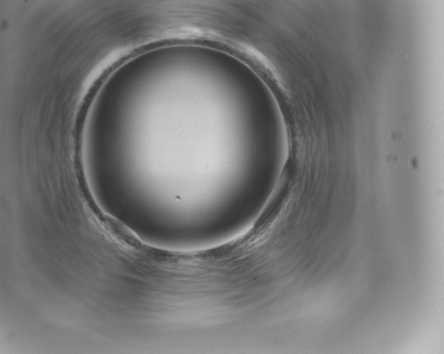 X0000073901326200608111120