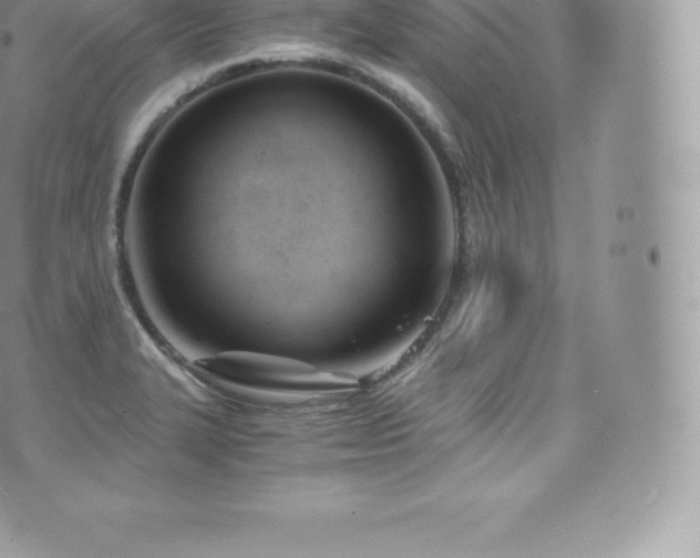 X0000073901327200608111120