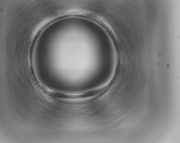 X0000073901328200608111120