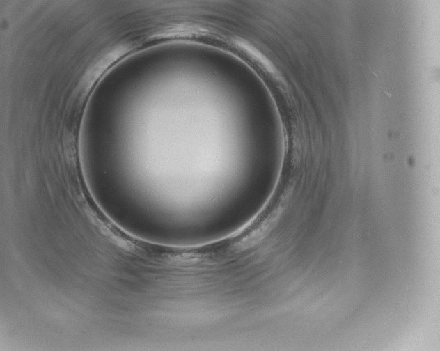 X0000073901329200608111120