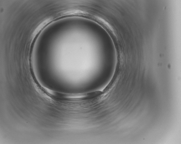 X0000073901330200608111120