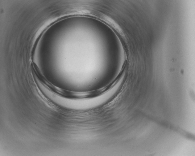 X0000073901332200608111120