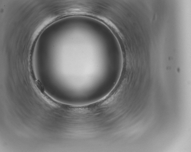 X0000073901333200608111120