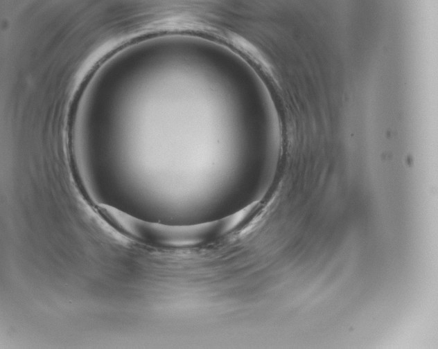 X0000073901334200608111120