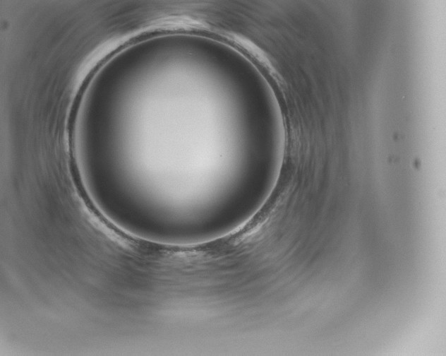 X0000073901335200608111120