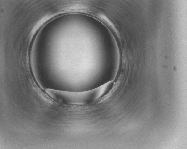 X0000073901336200608111120