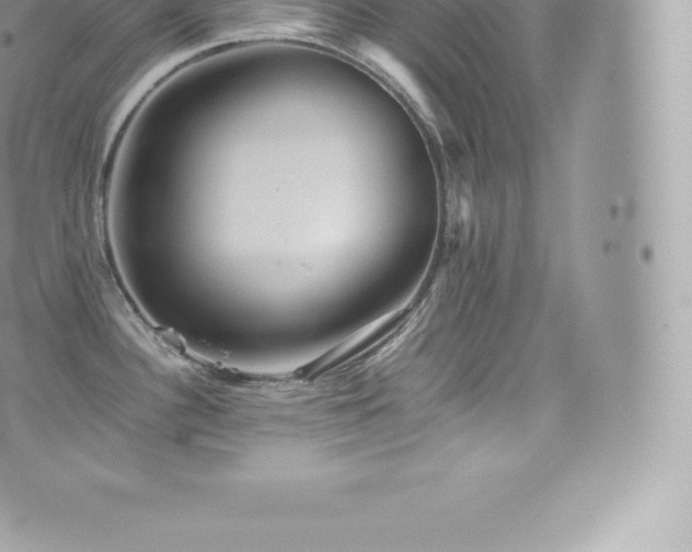 X0000073901340200608111120