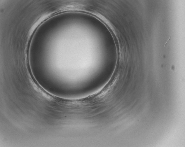 X0000073901341200608111120