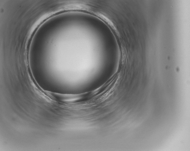 X0000073901342200608111120