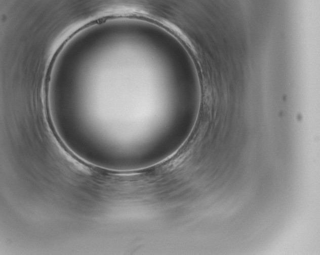 X0000073901343200608111120