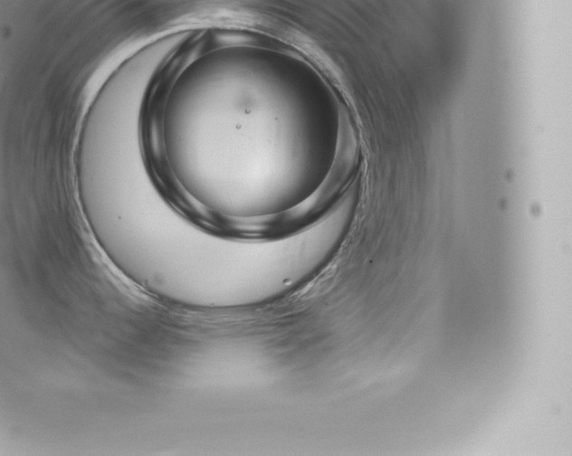 X0000073901344200608111120