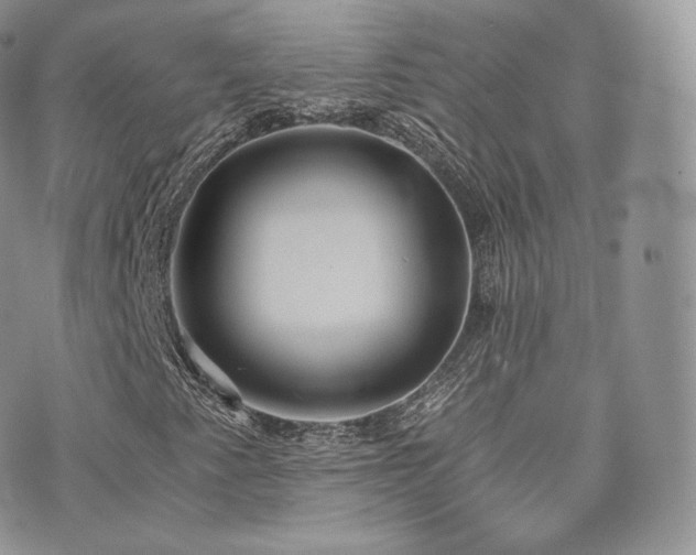 X0000073901345200608111120