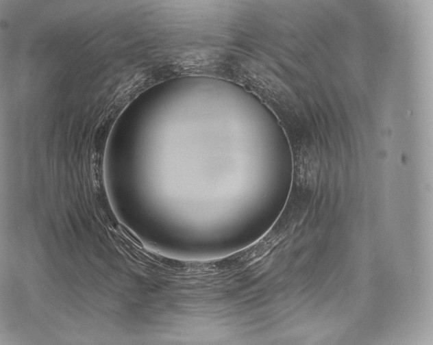 X0000073901346200608111120