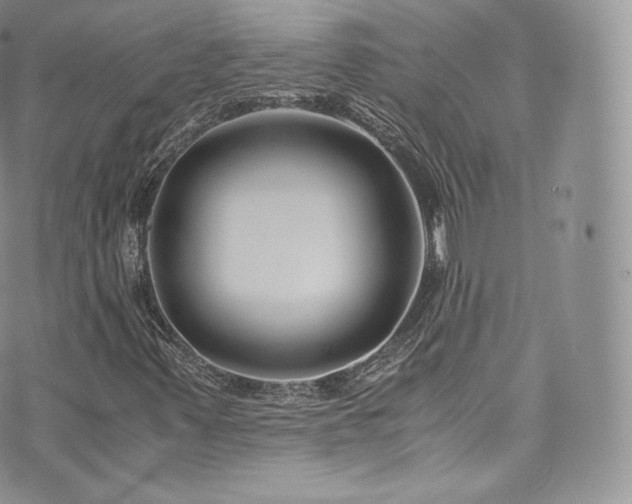 X0000073901347200608111120