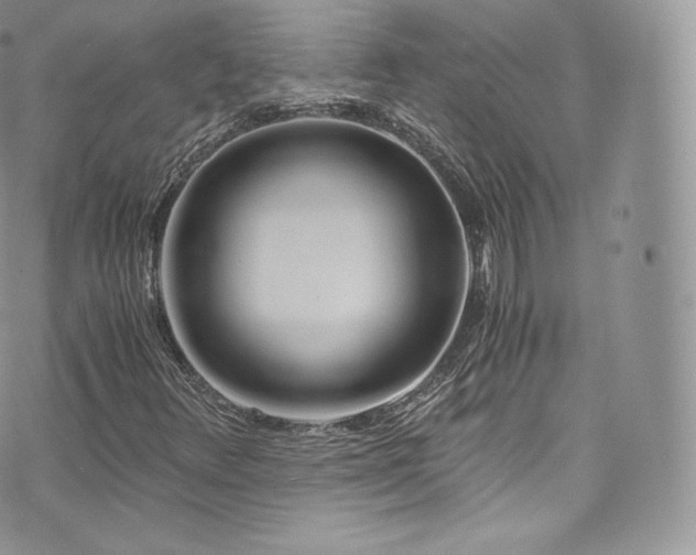 X0000073901348200608111120