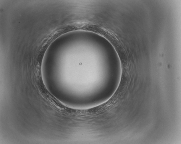 X0000073901349200608111120