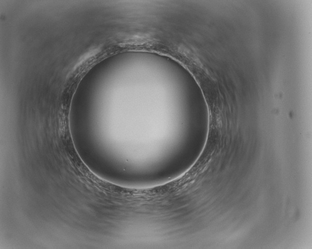 X0000073901350200608111120