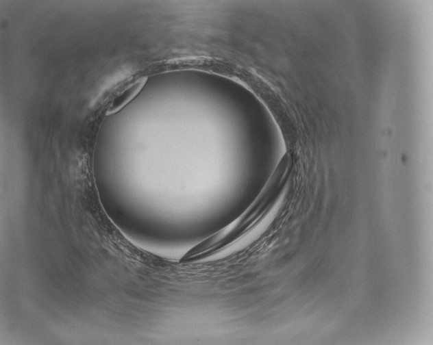 X0000073901351200608111120