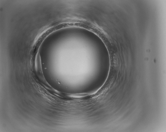 X0000073901352200608111120