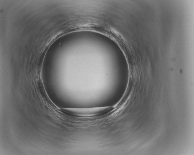 X0000073901353200608111120