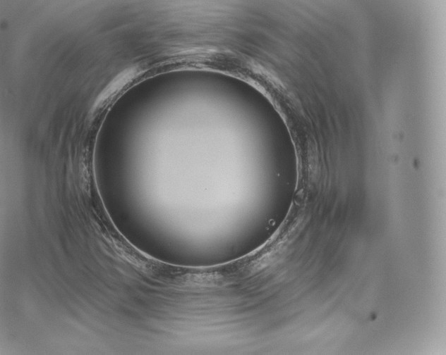 X0000073901354200608111120