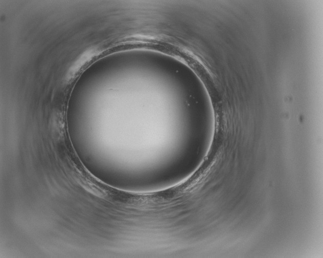 X0000073901355200608111120