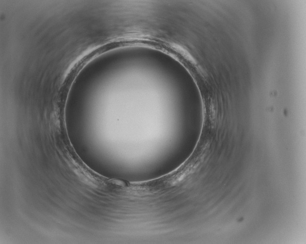 X0000073901356200608111120