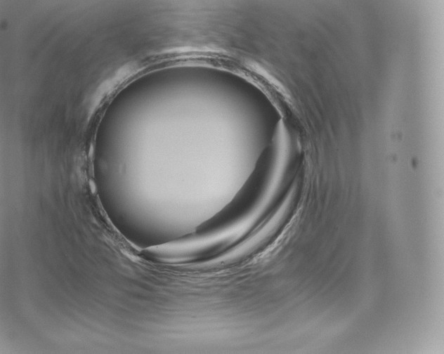 X0000073901357200608111119