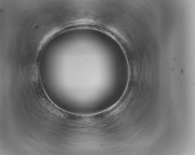 X0000073901358200608111119