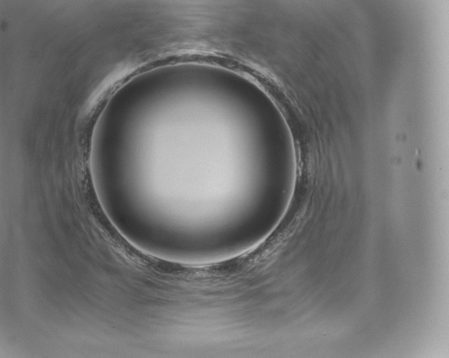 X0000073901359200608111119