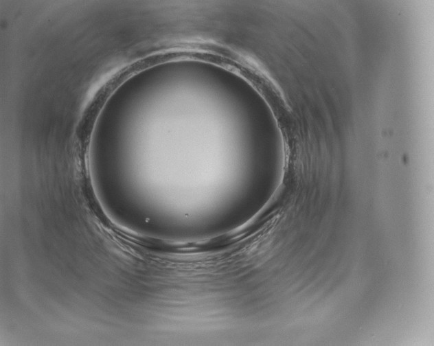 X0000073901360200608111119