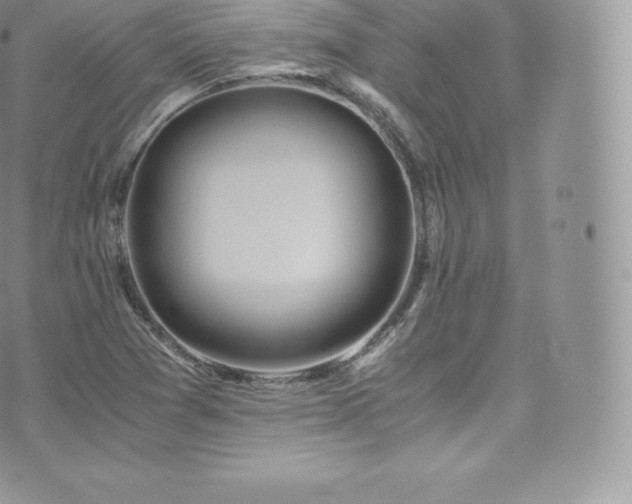 X0000073901361200608111119