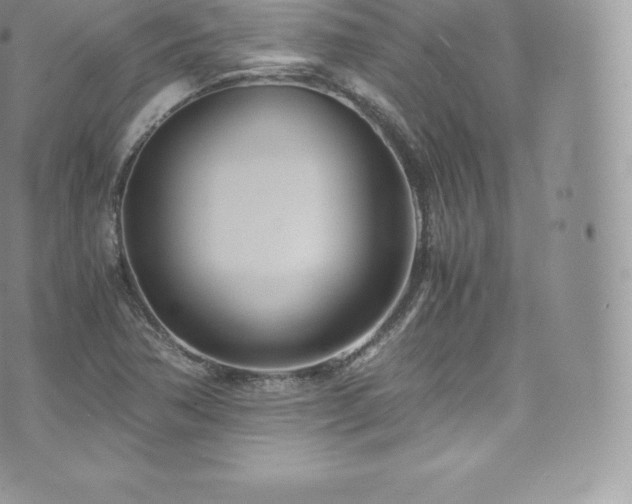 X0000073901362200608111119