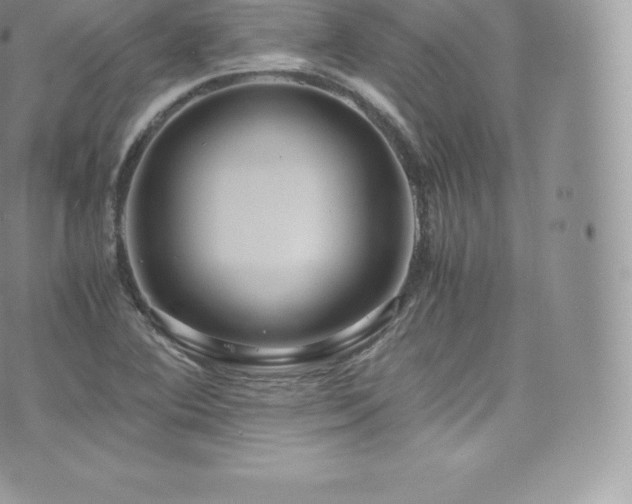 X0000073901364200608111119