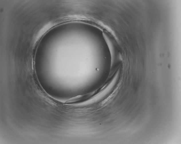 X0000073901365200608111119