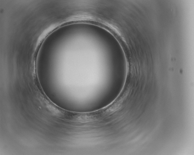 X0000073901366200608111119