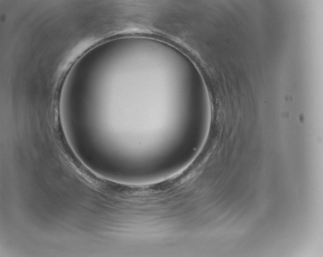 X0000073901367200608111119